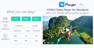 bzplayer Pro Live Streaming Player WordPress Plugin