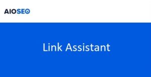 AIOSEO Link Assistant Addon