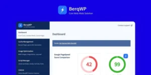 BerqWP Core Web Vitals & PageSpeed Optimization Plugin