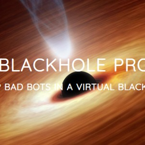 Blackhole Pro Trap Bad Bots In a Virtual Blackhole