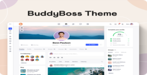 BuddyBoss Theme