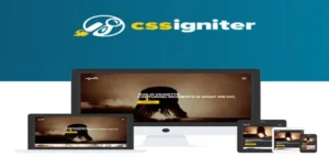 CSS Igniter Vignette WordPress Theme