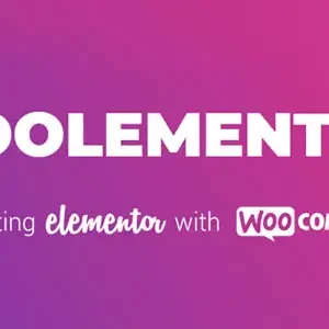 CoDesigner Pro Formerly Woolementor