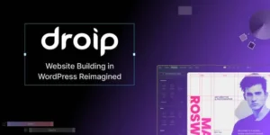 Droip No-Code Website Builder for WordPress