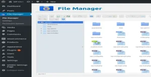 WP File Manager Pro Plugin For WordPress