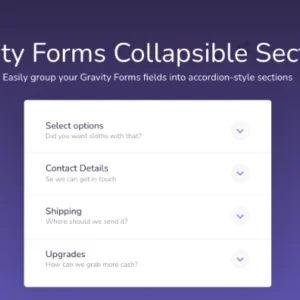 Gravity Forms Collapsible Sections – Jetsloth