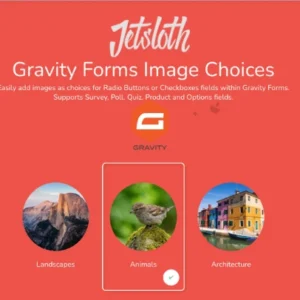 Gravity Forms Image Choices