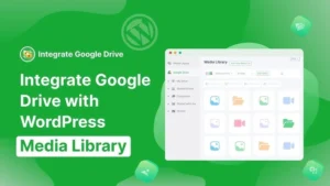 Integrate Google Drive Pro