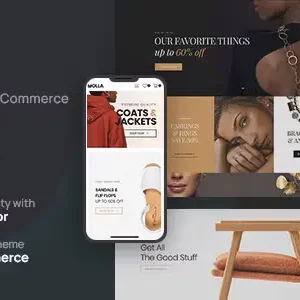 Molla Multi-Purpose WooCommerce Theme