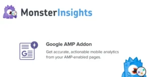 MonsterInsights – AMP Addon