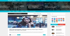 MyThemeShop Blogging Box WordPress Theme