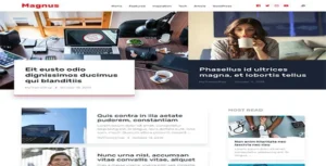 MyThemeShop Magnus WordPress Theme