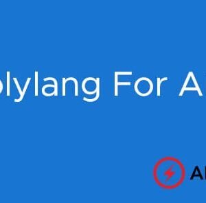 Polylang For AMP