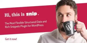 SNIP: Structured Data Plugin for WordPress