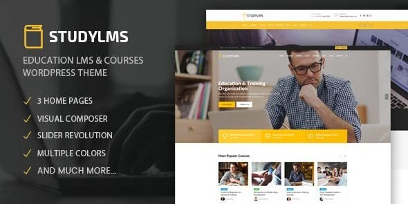 Studylms Education LMS & Courses WordPress Theme