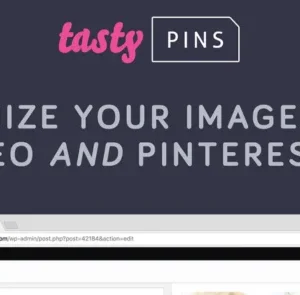 Tasty Pins WordPress Plugin for WP Tasty