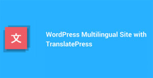 TranslatePress Multilingual Plugin – Business Plan + All Addons