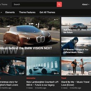 WP Enjoy VideoLife Pro