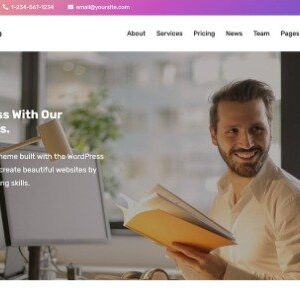 WP Enjoy Visual Business Pro