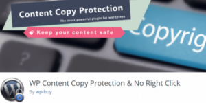 WP Content Copy Protection & No Right Click