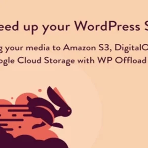 WP Offload Media Pro