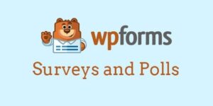 WPForms – Surveys and Polls