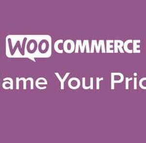 WooCommerce Name Your Price