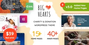 BigHearts Charity & Donation WordPress Theme