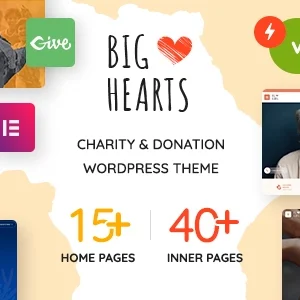 bighearts charity WordPress Theme