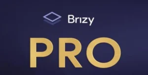 Brizy Pro