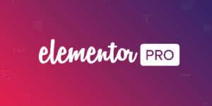 Elementor Pro WordPress Page Builder