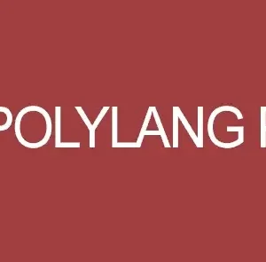 Polylang Pro Free Download