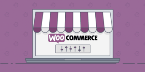 WooCommerce Google Product Feeds