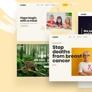 Caridad 12.5 – Charity WordPress
