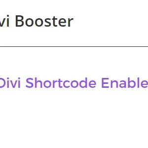 Divi Shortcode Enabler 1.4.8