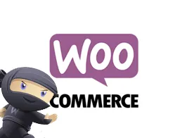 Invoice Payment Option for WooCommerce