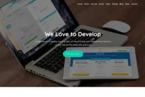 Keeway– Digital Agency One page WordPress Theme