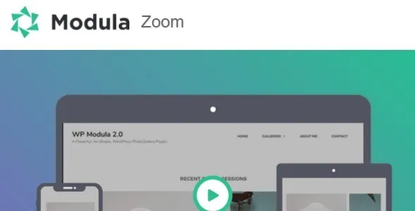 Modula Zoom 1.0.10