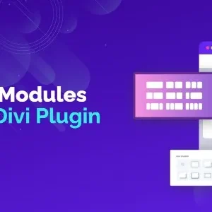 Divi Flash