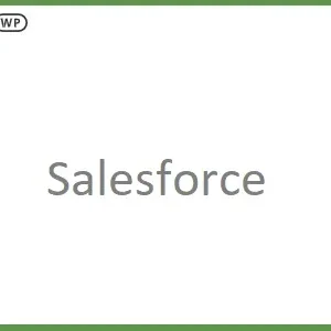 GiveWP Salesforce