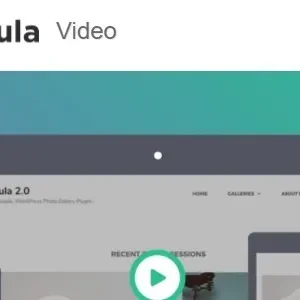 Modula Video