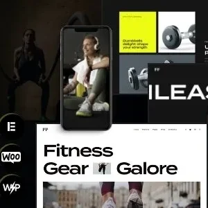 FitFlex – Gym & Sports Store WordPress Theme