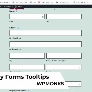 Gravity Forms Tooltips WPMonks