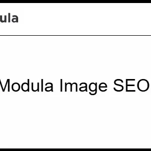 Modula Image SEO