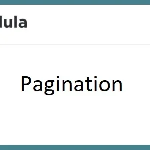 Modula Pagination