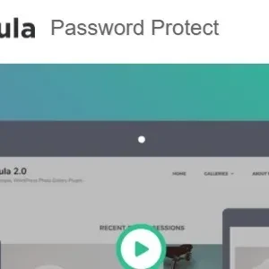 Modula Password Protection