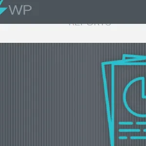 WP Client Reports Pro