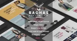 Bachas – Sectioned Multipurpose Shopify Theme
