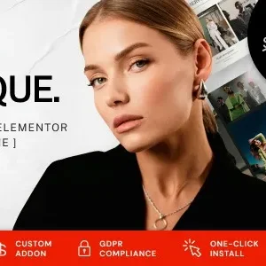 Iconique Fashion Model Agency WordPress Theme