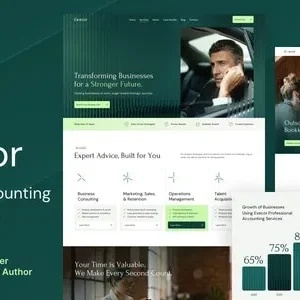 Execor- Accounting and Management Consulting WordPress Theme
